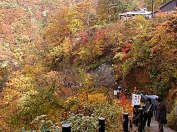 遊歩道を下る