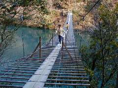 夢の吊り橋