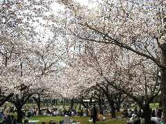 駿府城公園1