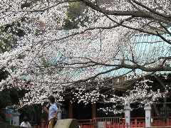静岡浅間神社3