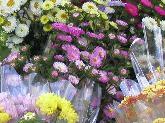花売り場