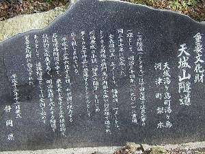 VR詓
