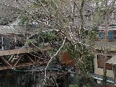 渡廊下と対岸の建物