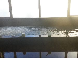 嗁̗