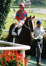 �j��f���b�N������