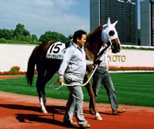 �j��f���b�N������