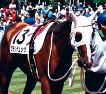 2001�N�D�y�f���b�N500��������