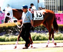 2001�N�D�y�f���b�N500��������