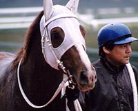 �j�I�O�����f���b�N�Q���ڃE�B�i�[�Y�T�[�N��