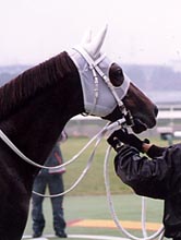 �j��f���b�N�Q���ڃE�B�i�[�Y�T�[�N��