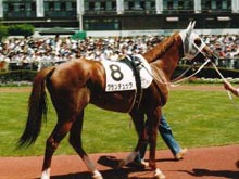 �f���b�N�V�n����