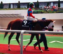 �f���b�N��䕏�