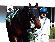 �x�l�t�B�V������in�N���X�^��C