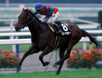 �h���[�A�E�^�[��