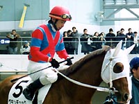 �f���b�N900��������