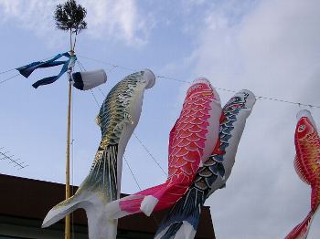 平等寺近くの民家の鯉のぼり
