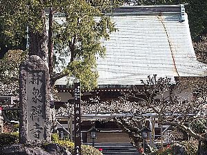 林泉寺の本堂
