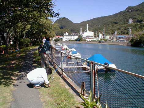 稲生沢川のハゼ釣り
