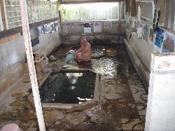 村之湯温泉浴槽