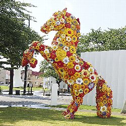 十和田市現代美術館前の花のアート