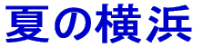 Ẳl 