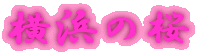 l̍ 