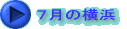 �V���̉��l