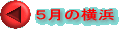 �T���̉��l