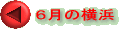�U���̉��l