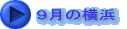 �X���̉��l