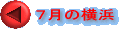 �V���̉��l