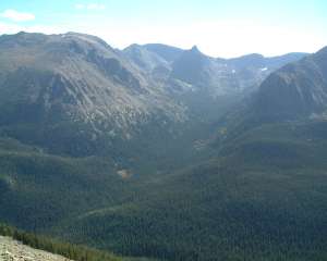 Forest Canyon
