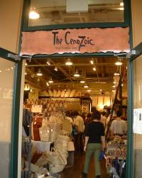 The Cenozoic