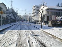 Ap[gӂ̐iF