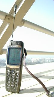 P503