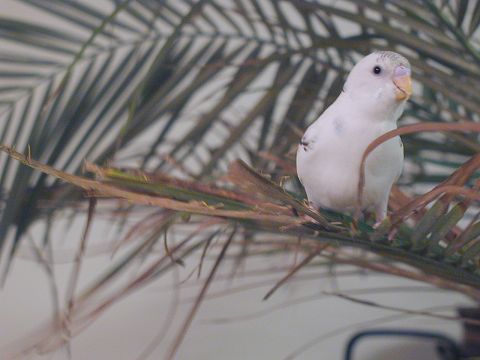 ؂ɂƂ܂钹