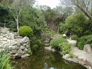 Oriental Garden