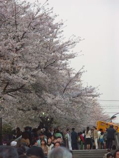 c쉈̍