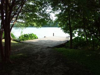REView Point