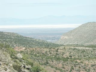 7{Zoom