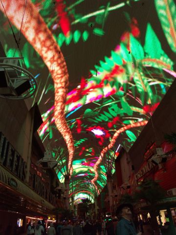 Freemont Street Experienceɂ