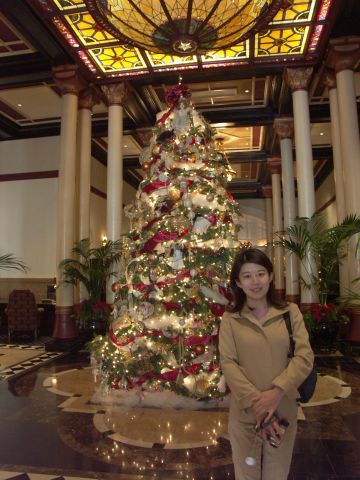 ƍ؂AustinHotel̃NX}XEc[