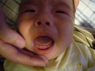 ̎̎Beisj