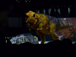 T-REX