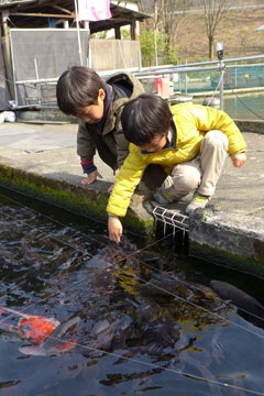 ̉at