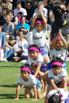 gݑ̑