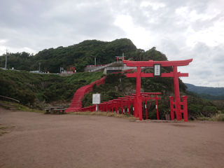 猩T_