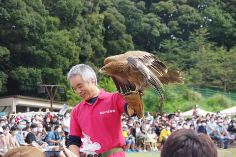 邪ԋ߂