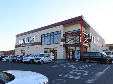 WILD-1