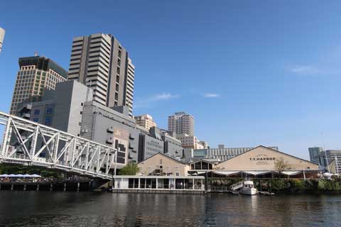T.Y.HARBOR